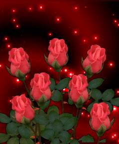 귀여운 고양이.jpg | 인스티즈