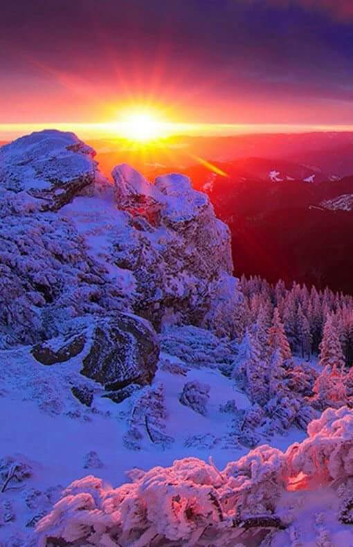 자연의 아름다움 ~ | 인스티즈