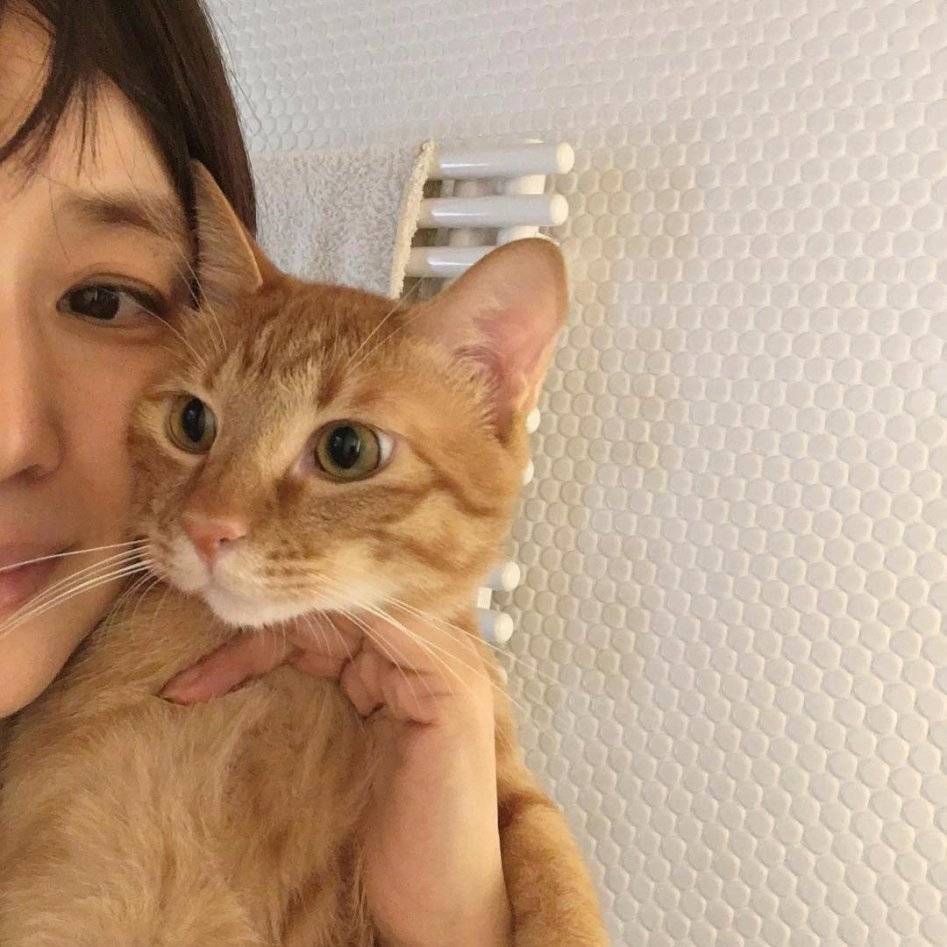 50대 일본 여배우 | 인스티즈