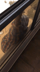 말로는 못할 어이 없는 일 | 인스티즈