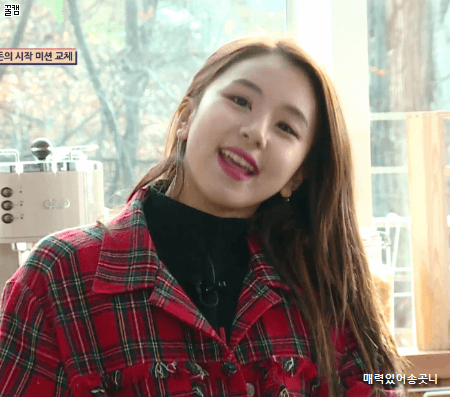 트와이스 꼬마맹수 채영이 | 인스티즈