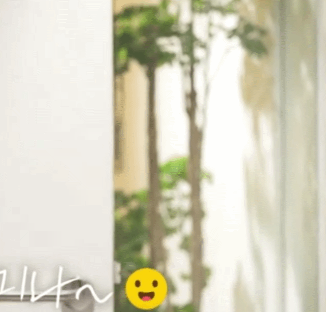 묘이 미나 | 인스티즈