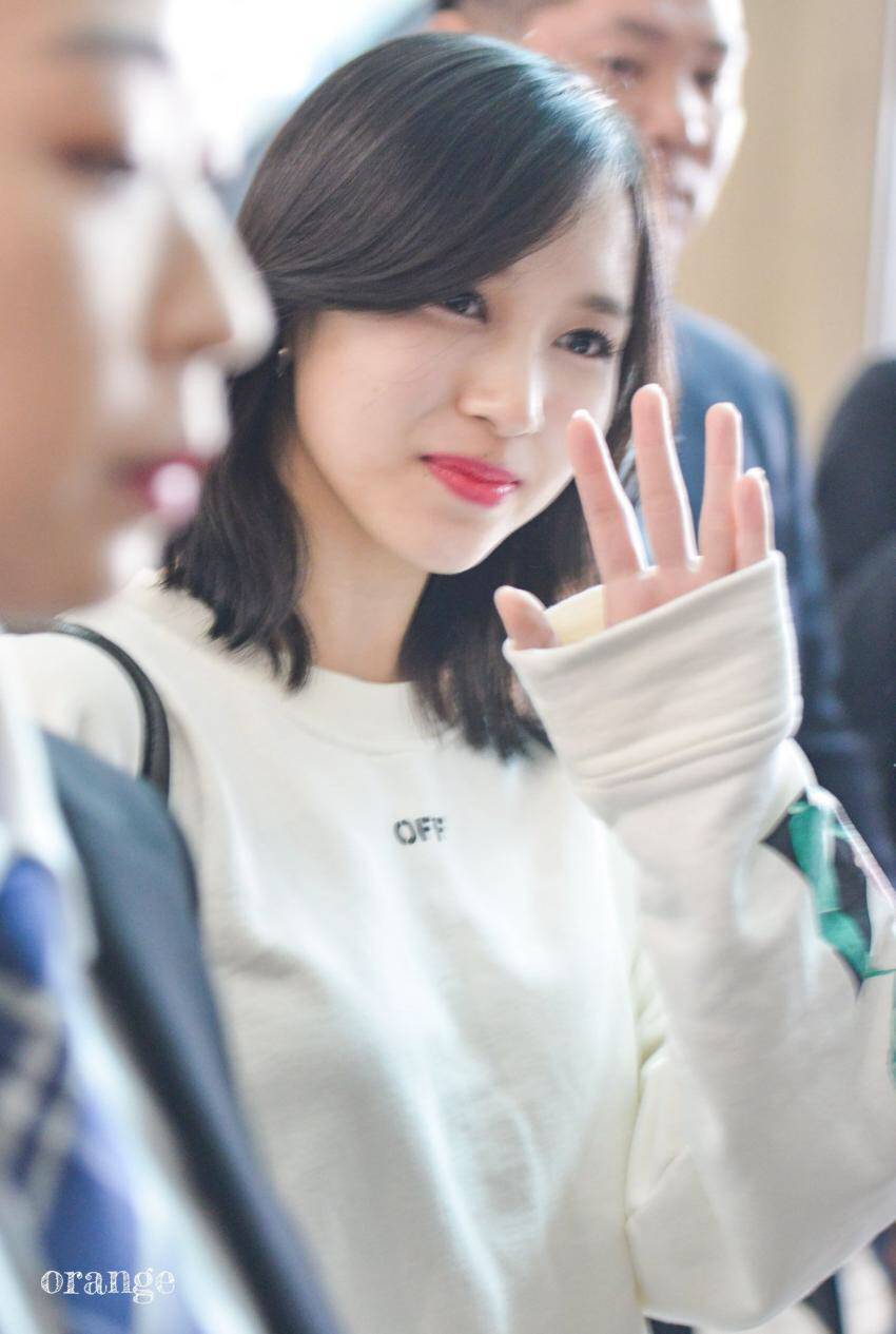 묘이 미나 | 인스티즈