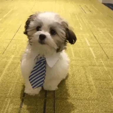 금요일 칼퇴하는 직장인.gif | 인스티즈