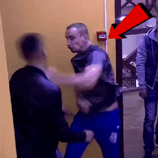 불곰국 체대생들의 싸움 | 인스티즈