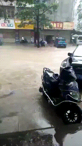 빨간불은 정지신호입니다 | 인스티즈