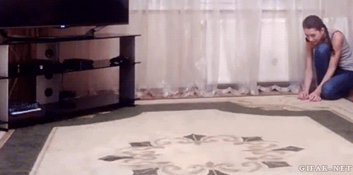 커여운 고양이 짤들 | 인스티즈