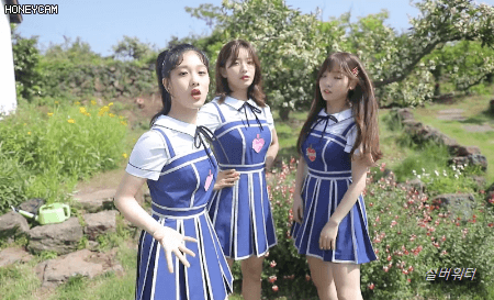 [프로미스나인] 추가로 앨범사서 약속회 갈까 고민되서 픎나인 | 인스티즈