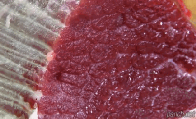 짤방사후경직 전 소고기 | 인스티즈