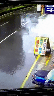 이사 간 주인이 날 두고갔다...JPG | 인스티즈