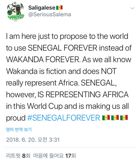 세네갈 팬 &#34;우리를 응원할 때 와칸다 포에버라 하지 말고..&#34; | 인스티즈