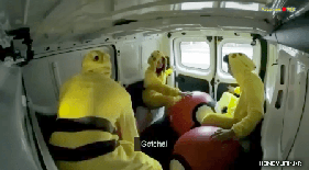 인간을 사냥하는 피카츄들 ㄷㄷㄷ | 인스티즈