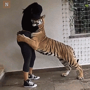 못말리는 집사껌딱지 | 인스티즈