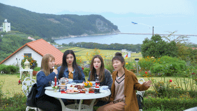 슬기의 반응 속도.gif | 인스티즈