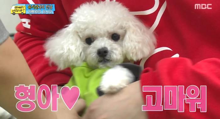 [아빠어디가] 유기견을 대하는 윤후의 태도 .jpg | 인스티즈