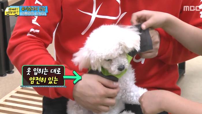 [아빠어디가] 유기견을 대하는 윤후의 태도 .jpg | 인스티즈