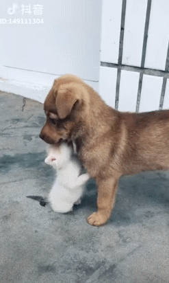 안녕?작고 소중한 친구야 | 인스티즈