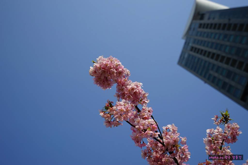 일본 바이크 투어 D+23 | 인스티즈