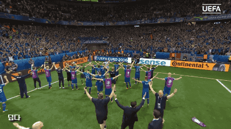 아이슬란드 거리응원 클라스.gif | 인스티즈