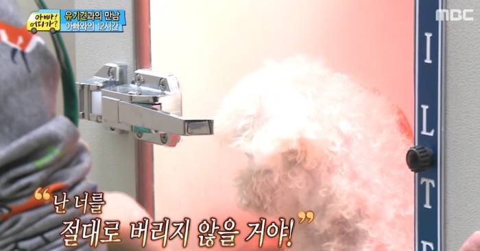 [아빠어디가] 유기견을 대하는 윤후의 태도 .jpg | 인스티즈