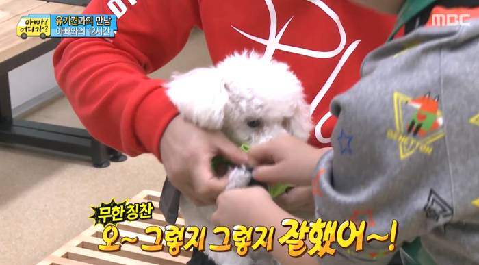 [아빠어디가] 유기견을 대하는 윤후의 태도 .jpg | 인스티즈