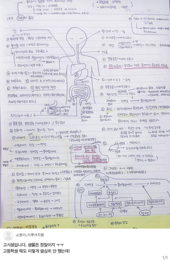 공부욕구 생기는 노트필기들 | 인스티즈