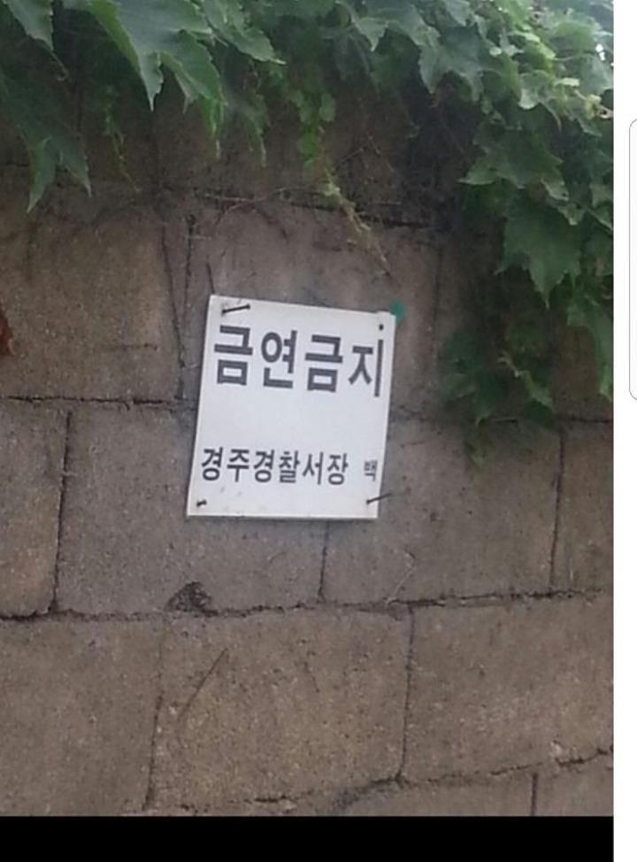 경주경찰서장의 경고 | 인스티즈