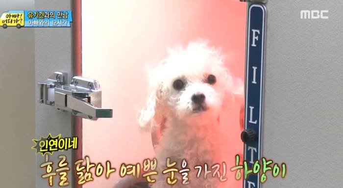 [아빠어디가] 유기견을 대하는 윤후의 태도 .jpg | 인스티즈