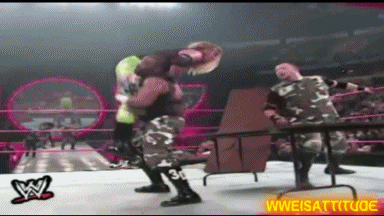 더들리 보이즈 3D 여러가지 짤 | 인스티즈