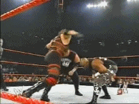 더들리 보이즈 3D 여러가지 짤 | 인스티즈