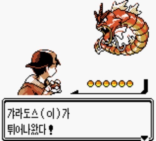 포켓몬 골드에서 얘네 네명만 들고다니면 사천왕까지 바르고 다녔음 | 인스티즈