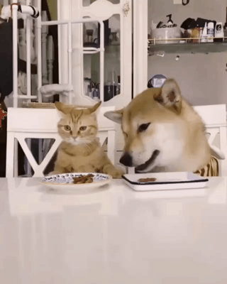 여친 분위기 안좋은데 눈치 없는 남친.gif | 인스티즈