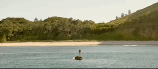 나만 아는 파라다이스로 서핑 하러 왔는데 죽은 고래가 있어여....gif | 인스티즈