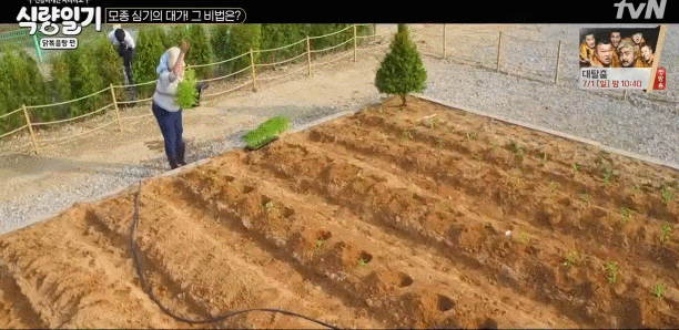 예능에서 재능낭비하는 서장훈.gif | 인스티즈