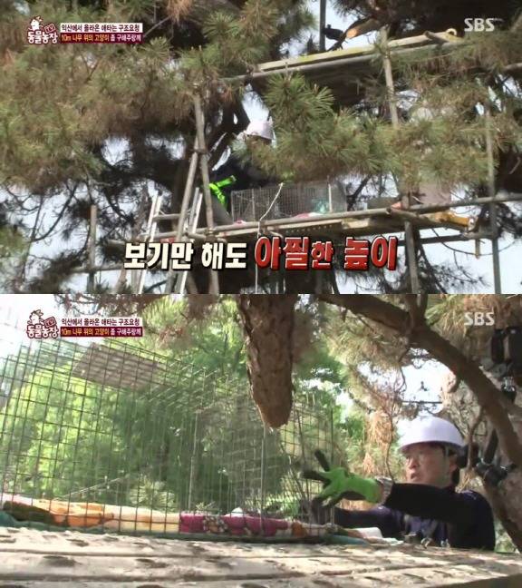 [동물농장] 10m 나무 위에 사는 고양이와 할머니들.jpg | 인스티즈