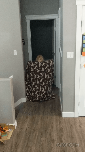 누구라도 속는 6살 소녀의 놀라운 순간이동 마술 ㄷㄷ.gif | 인스티즈