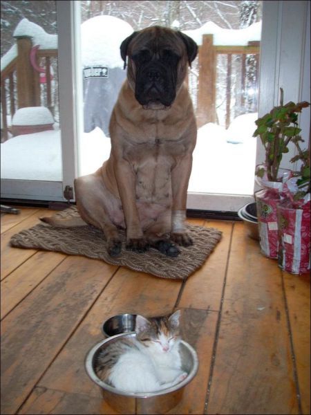 니자리 내자리 스킬 | 인스티즈