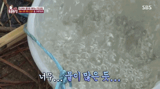 [동물농장] 10m 나무 위에 사는 고양이와 할머니들.jpg | 인스티즈