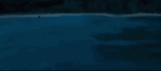 나만 아는 파라다이스로 서핑 하러 왔는데 죽은 고래가 있어여....gif | 인스티즈