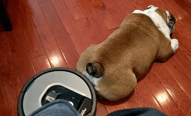 청소하다가 이상한 물체 포착.gif | 인스티즈