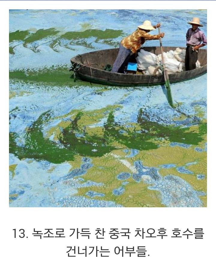 합성 같은 실제 사진 | 인스티즈