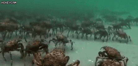 예비군 훈련 특징 | 인스티즈