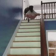 뭘 좀 아는 댕댕이.gif | 인스티즈