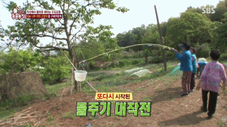 [동물농장] 10m 나무 위에 사는 고양이와 할머니들.jpg | 인스티즈