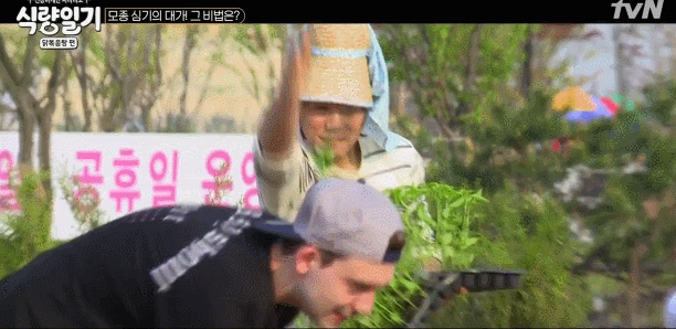 모종심는 서장훈.gif | 인스티즈