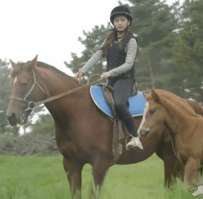 프로미스나인 상왕돌.gif | 인스티즈