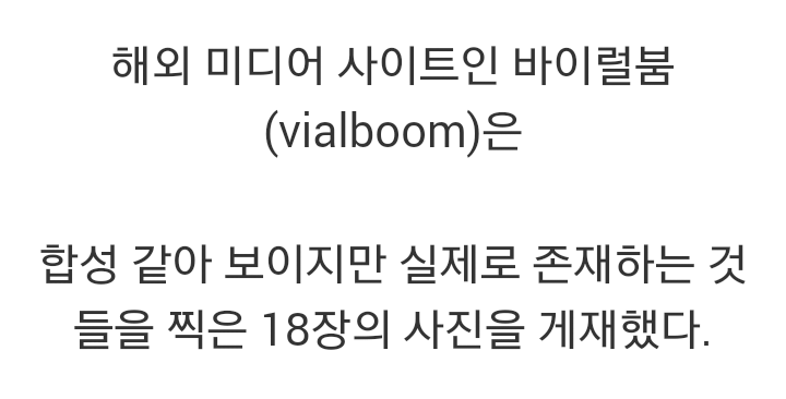 합성 같은 실제 사진 | 인스티즈