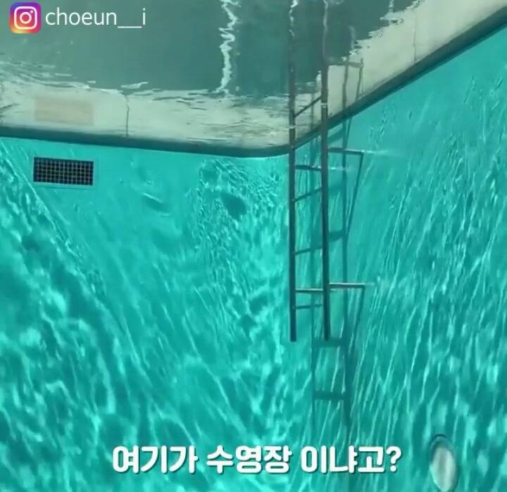 신기한 수영장.jpg | 인스티즈