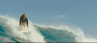 나만 아는 파라다이스로 서핑 하러 왔는데 죽은 고래가 있어여....gif | 인스티즈