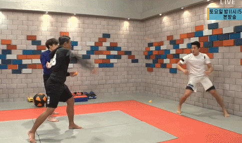 밥동뎅 : 이제부터 던지는 탁구공 제가 다 피해볼게요 | 인스티즈